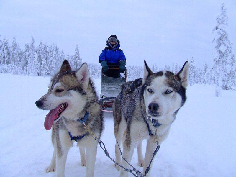 7C0CC882DA6A851119CC872D1907C51A