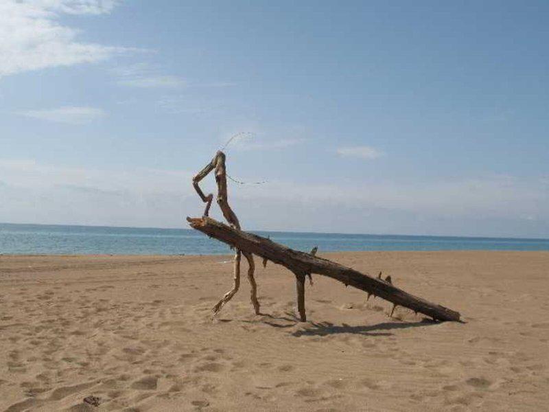 76784D04A522BB6E1F0DAA60AB3A31D6