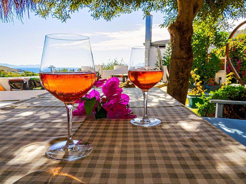 C61A72AD56D91E17CFEEBB76868E394E