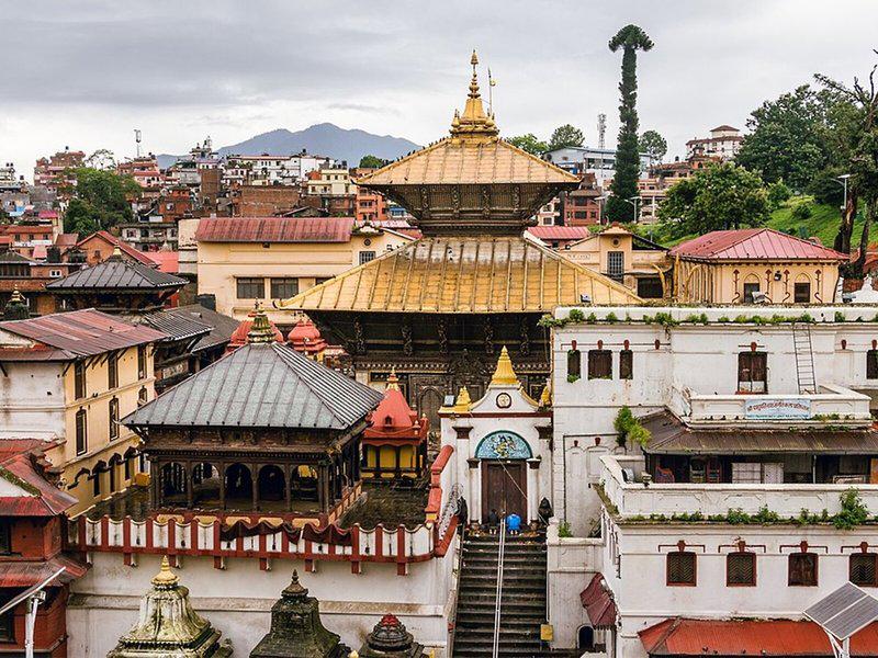 C6BA871B523ED3A801015AFA3E13BD2C