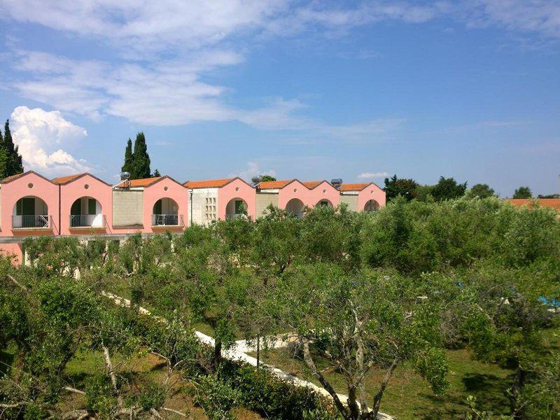 2E3574AD3021F5965DA493B1F9F53564