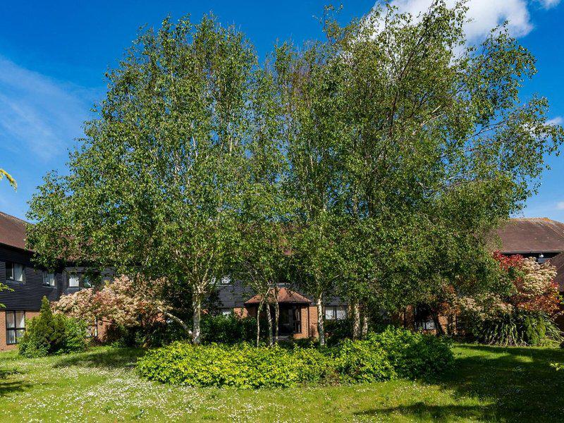 4C6FFB9A3C8786AEEAFF06856771C3D8