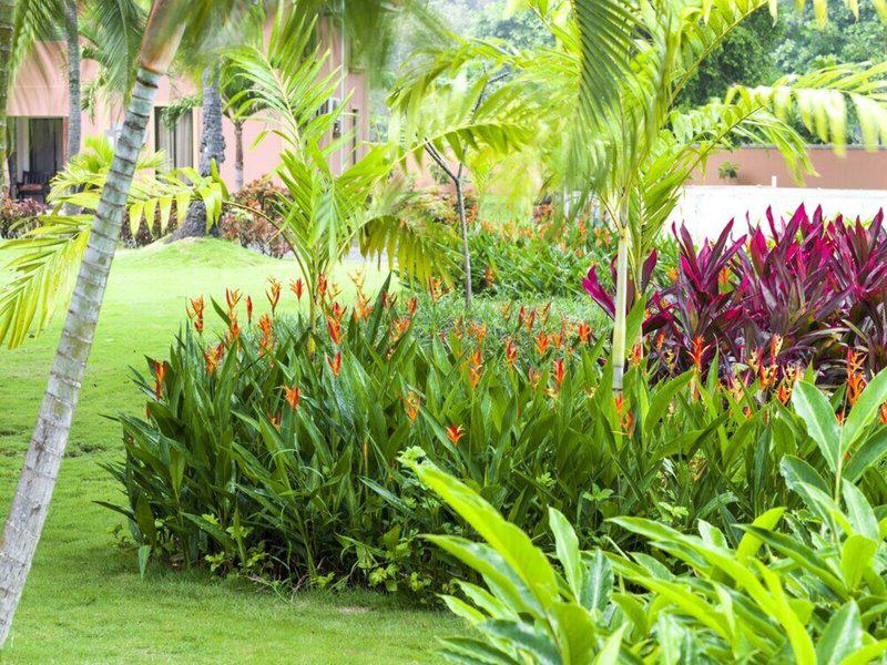 9119FDA7FF550D41AB008DD433B65E0B