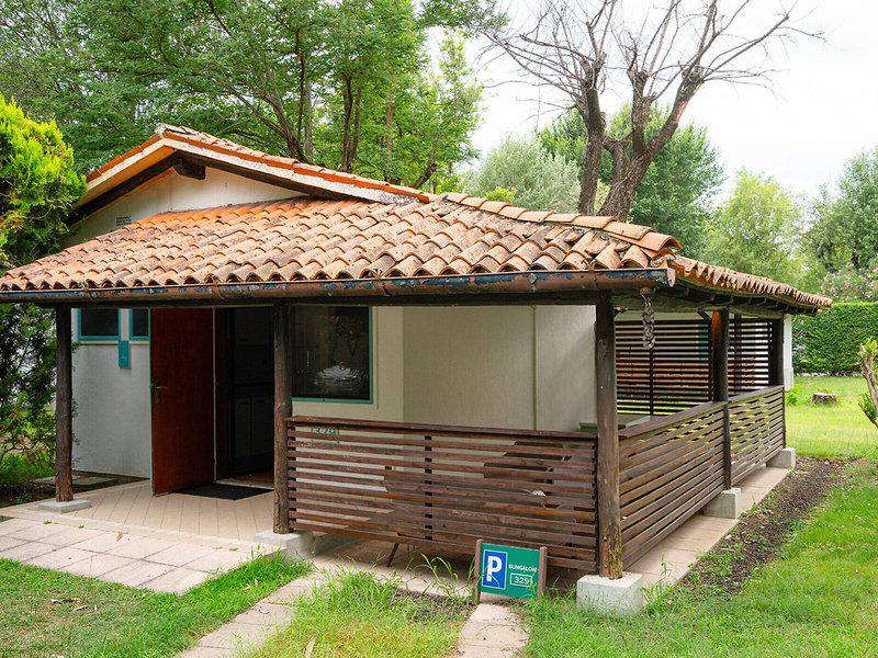 C445C42555271B6D59E3A1D474213084