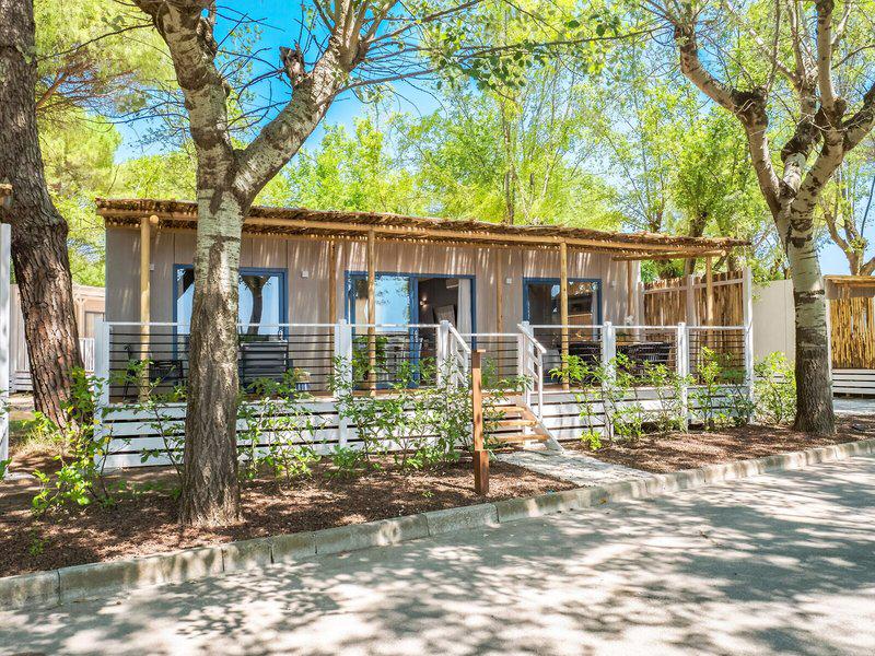 22301D6567A91C3A99D8106D887A4F4B