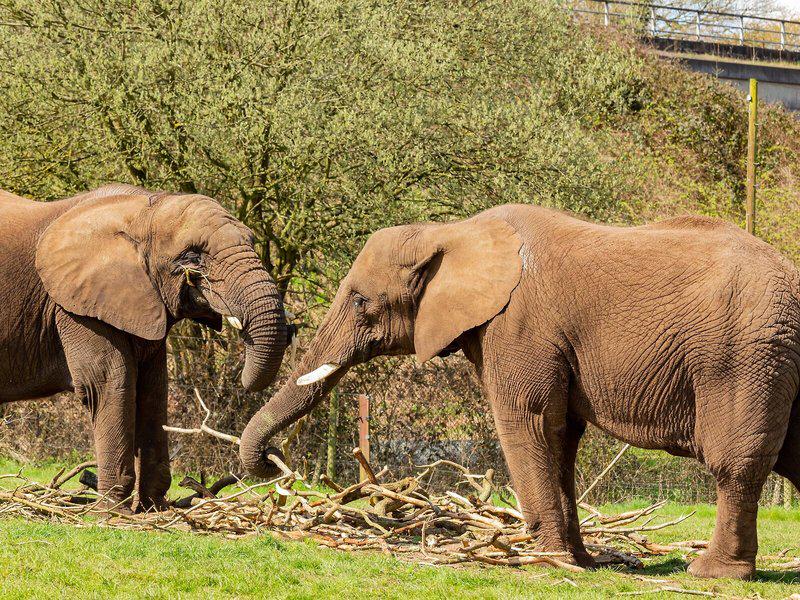 68683B2B754F2016C145350EC0F48CD8