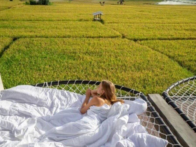 F5774B486BB21199A2DEC5FAED8E6025