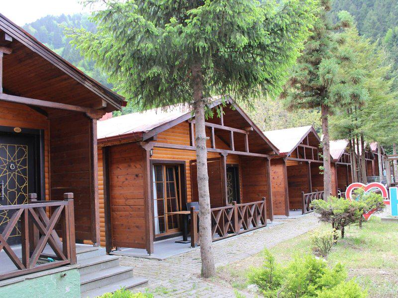 B12EBDD129BE02292AE429310C3E6B31