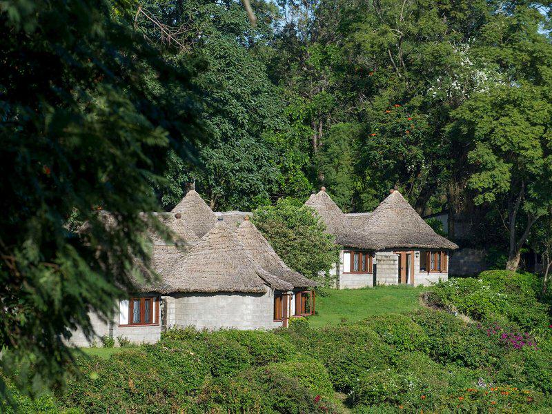 52DB6916A438C0701F36B5643FF1A72E