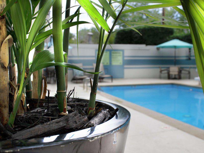 DCF65BF8F01B945B80F33BE6A31B89CB