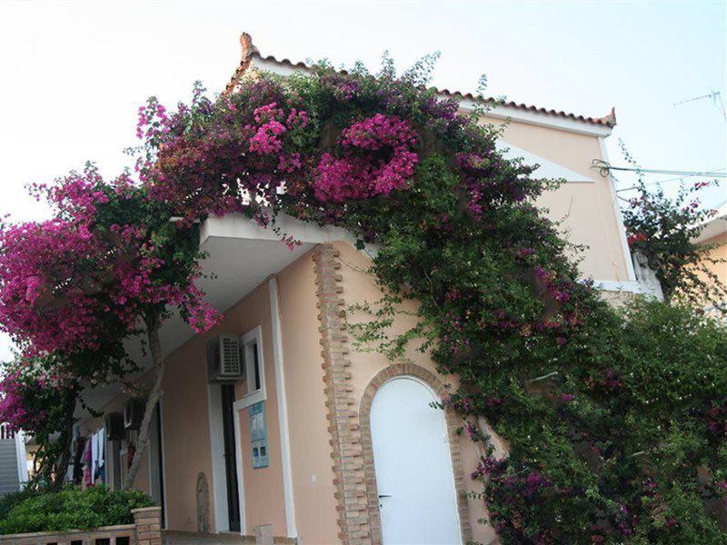 9E5E33AF8627CDB61C3221CF89FF9905