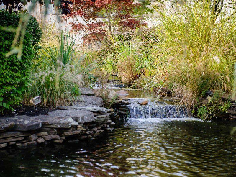 1900E16F186485FE7AB1F95D2A23168E