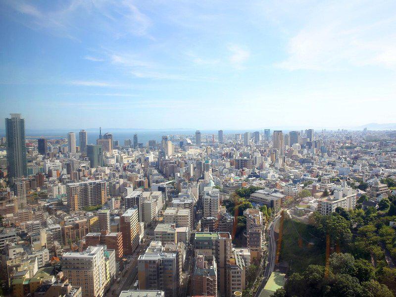 F4E4F892DF3BB4A53A88655E3DA140DB