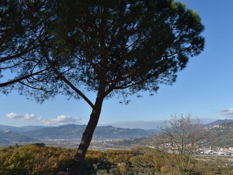 54905FE5D9D6C7E276406FADA53680E6