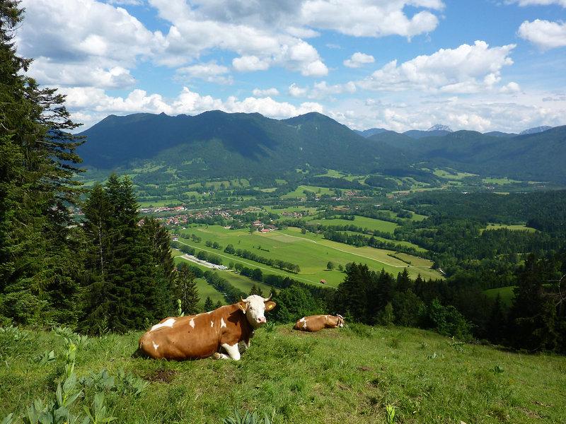 82AE576D0A3B062E0F61BB0AF68C6D8E