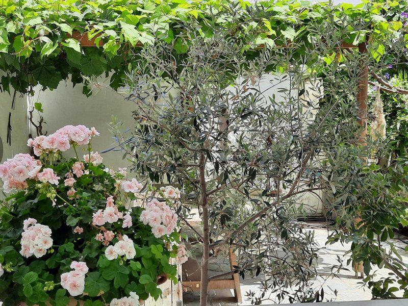 B584E90CDA077FA7AB4783031BE9CDA0