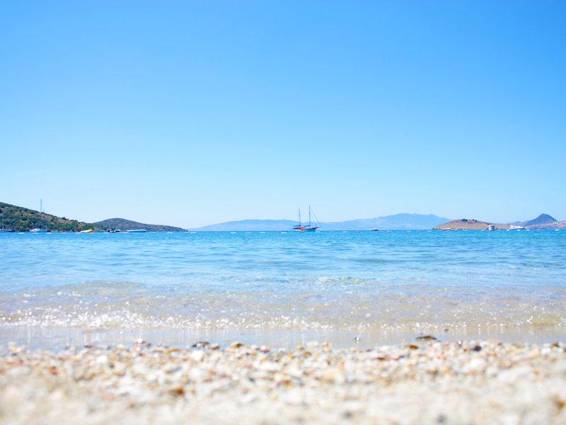 2629AD1E777CA8A33CA073500B5ADBF0