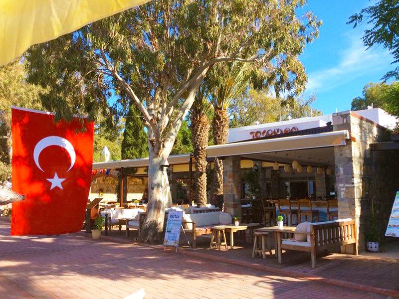 2037596108F50B8544B363A8204AF7CE