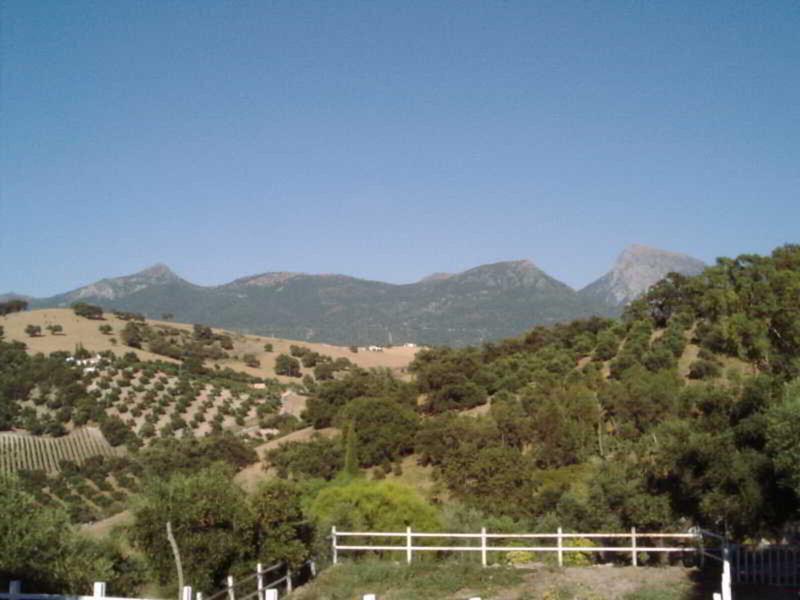 8469DF4C773B19090F25C69392E85987