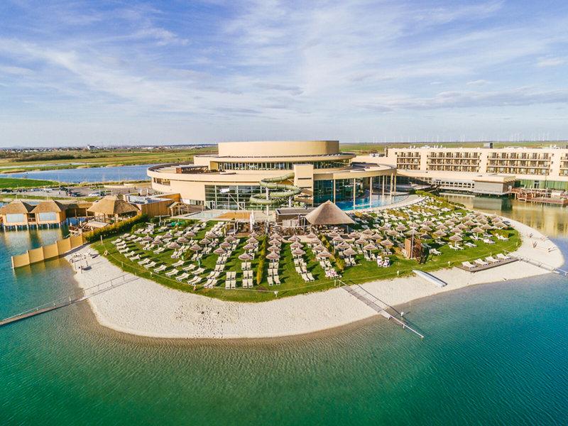 910C776821616F5765EDD431F99C4467