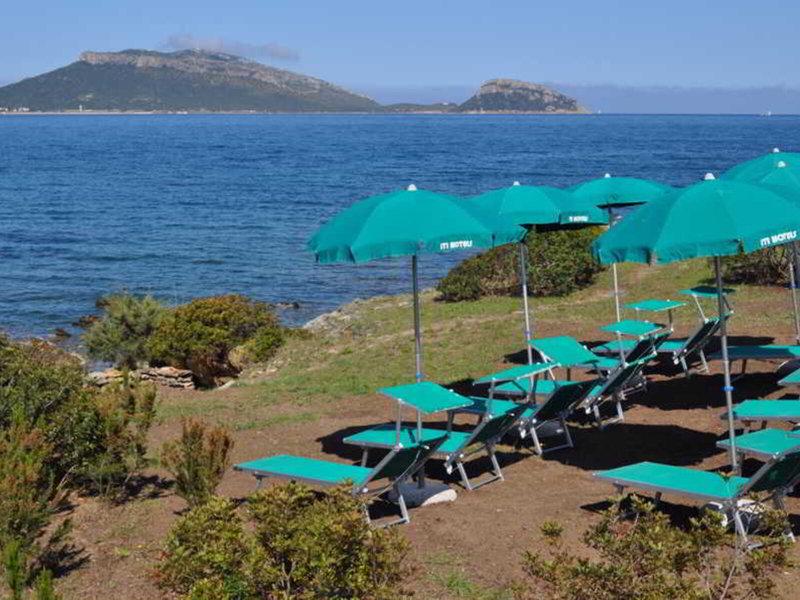 35C9D9838FEFF3303D6CCEBC9AECE803