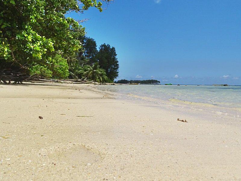 15B70BE183BA9C4779BF4E771D0CE433