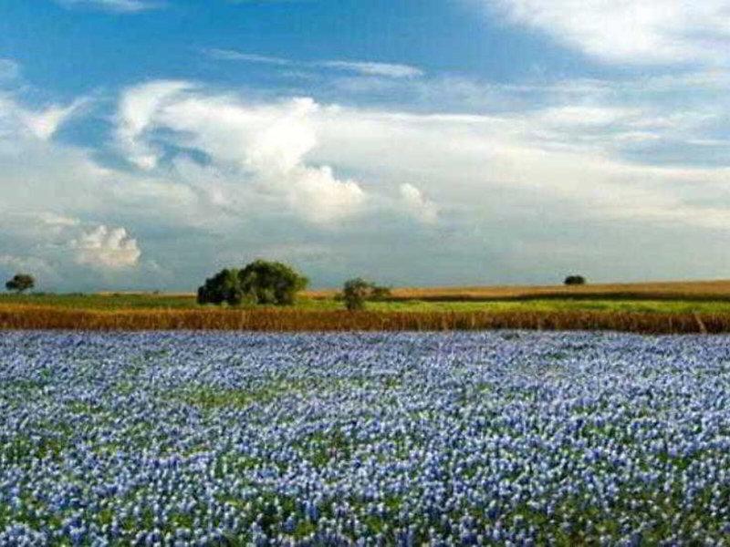 EF49C96B117AD83CA3C2513E34BED4F1