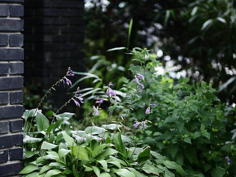 C6BB54BE9BD76C6FE97CD92E915A5D97