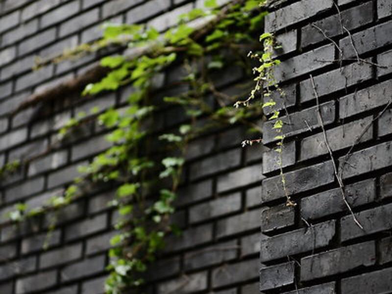 253C7145FF93A588D7DDD328360D0479