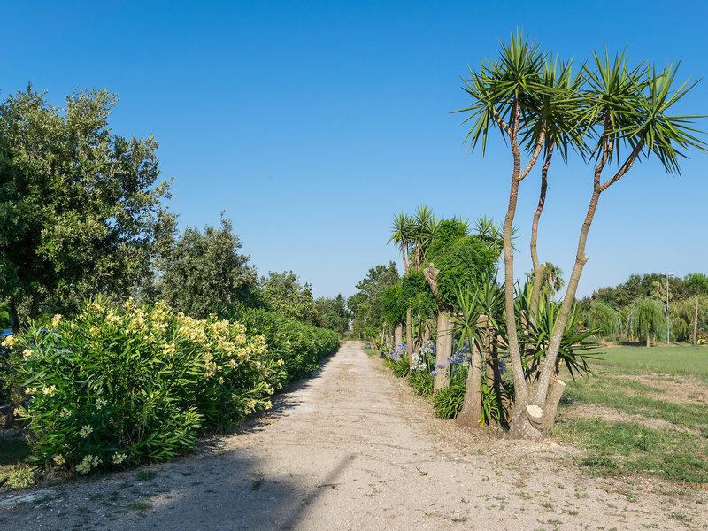 633DD81B0BB5B03ED244CDAAF5BCD970