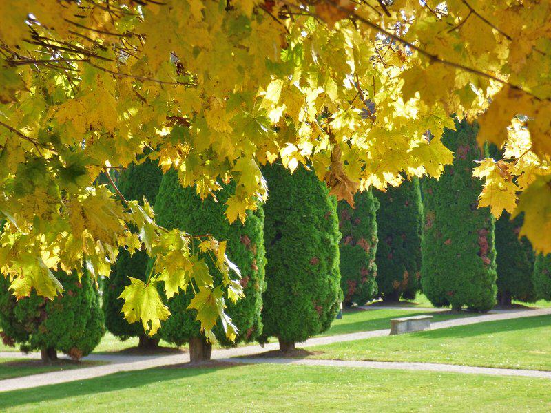 C5FD027DB83DF97D856B3A7E9ED1F9FE