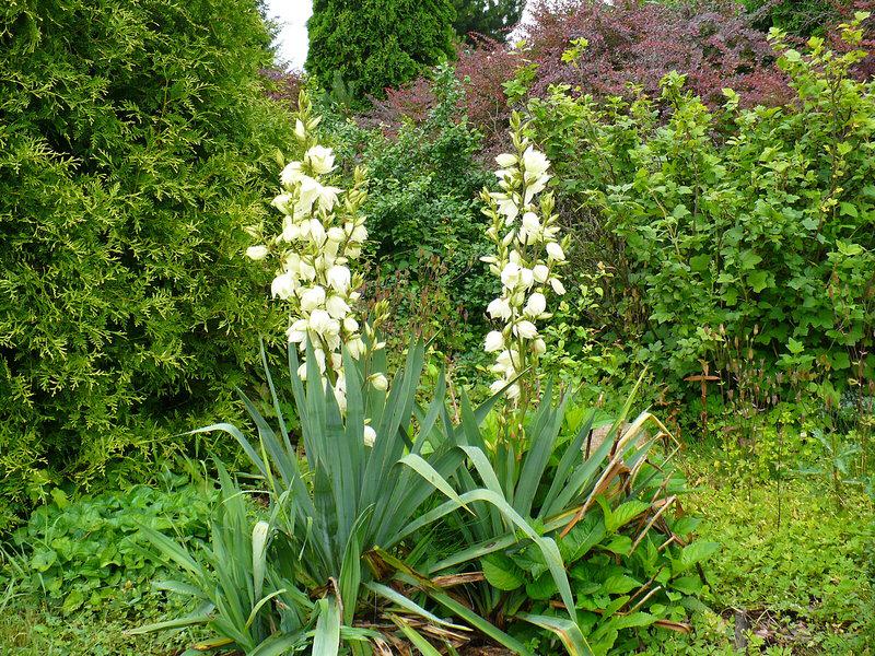 709801A858A6DA46FA50B456DEBA5D88