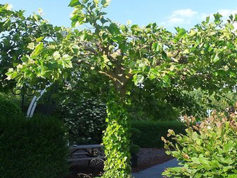 B65805AE6DF532CF353990F0DAB33970