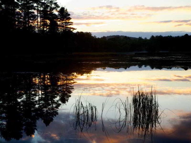 BD4519258C2010D7E3F72AE3D62ECC20