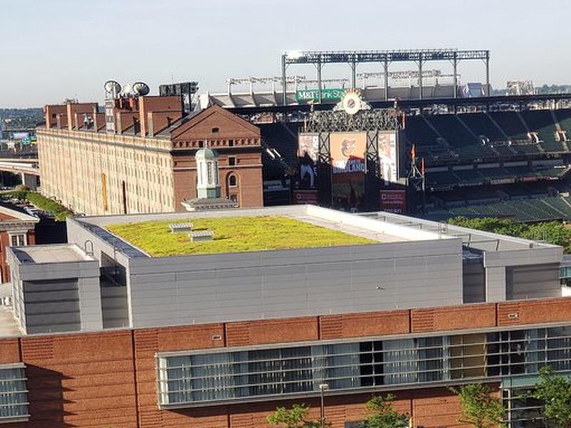 5BE14BEE68A6D6719A4EAE0BF82F2C75