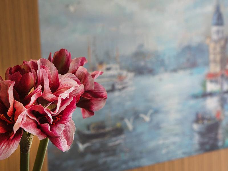 3BE91B9416F9B3FE931D2F3A09D3F740