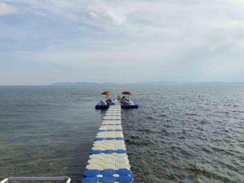 977816E7B47605EFC58062AAD51BD924