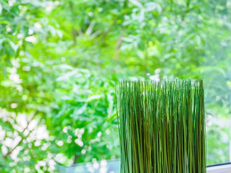 2A77B766AF36E95721FE1DF929B76C9D