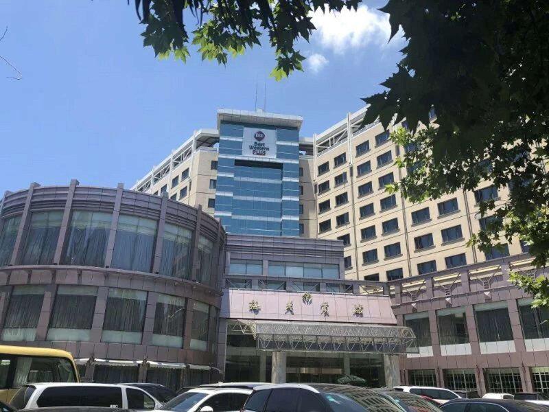 CBDE66F7D37A8CE5F15BF9F951CA1054