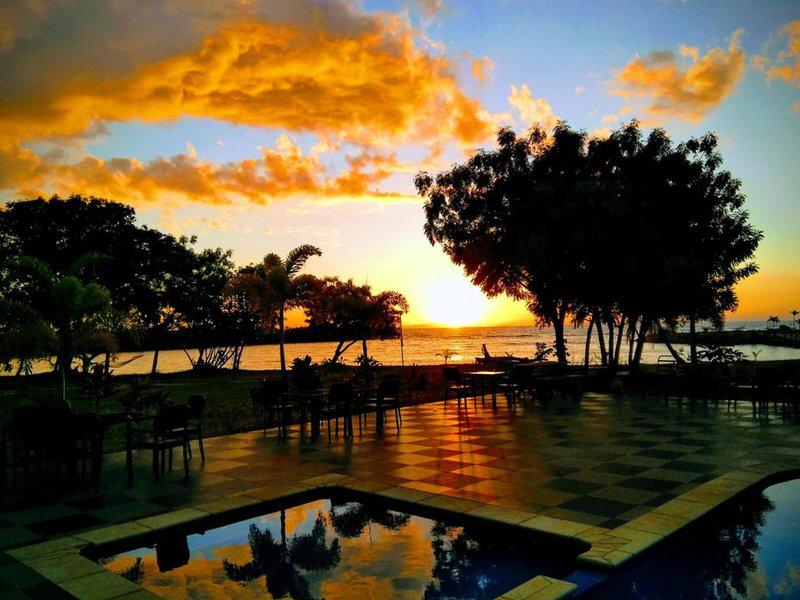 3F78ED869D4AAF8759225E16A5CC2EEF