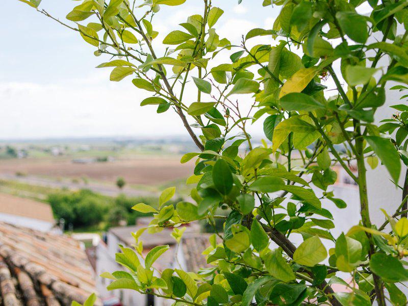 308B2DEA42F4C5FA468F083DD2839FA7