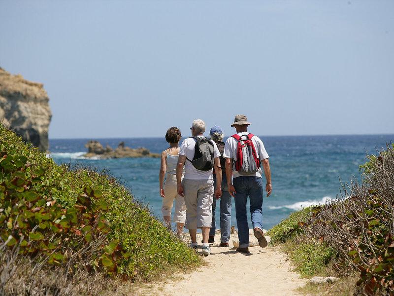 2AF5EF46B8908E6D5A870610A38943F1