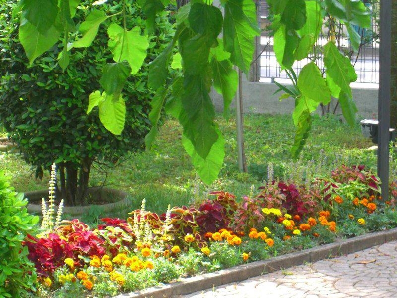 575797504C62A88211F11A747189C9A1