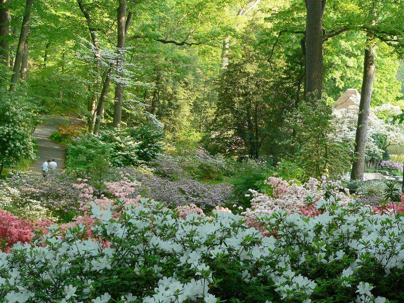 04A311B6F64195C916037D0D9D6EF1AC