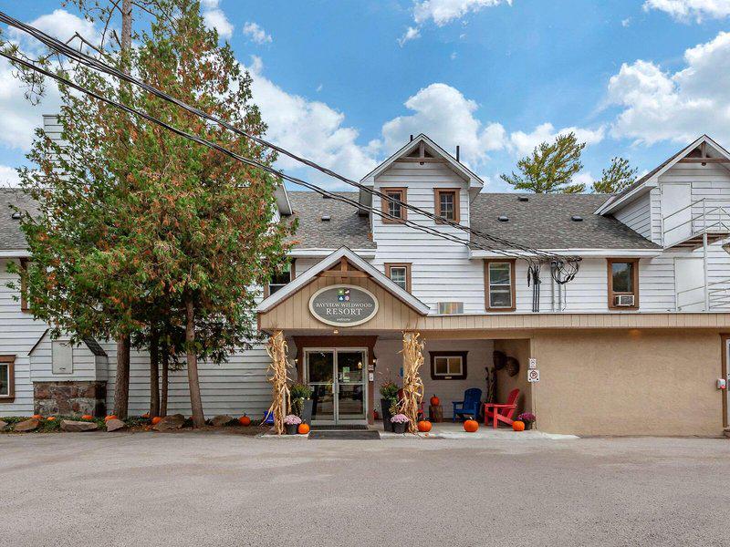 C0C91D500491B24DA897DCE89C3DF4C8