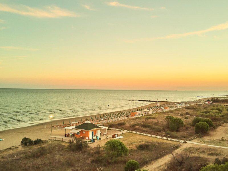 1335B5BE29AD6BBEC2A6808C44DA45DE