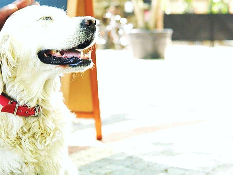 037BD32FA8E08EDB0DAAD6D9D6ABD288