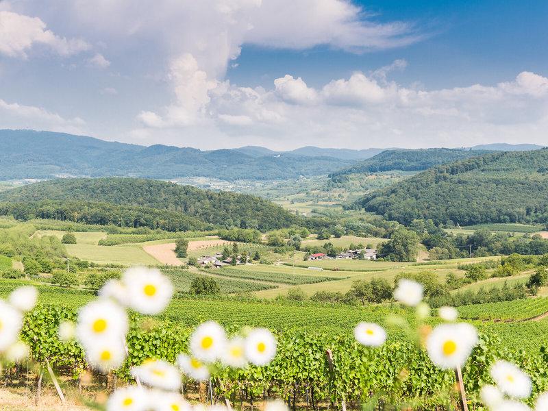 314B4E72FE074F155146BD5C85D08BA9