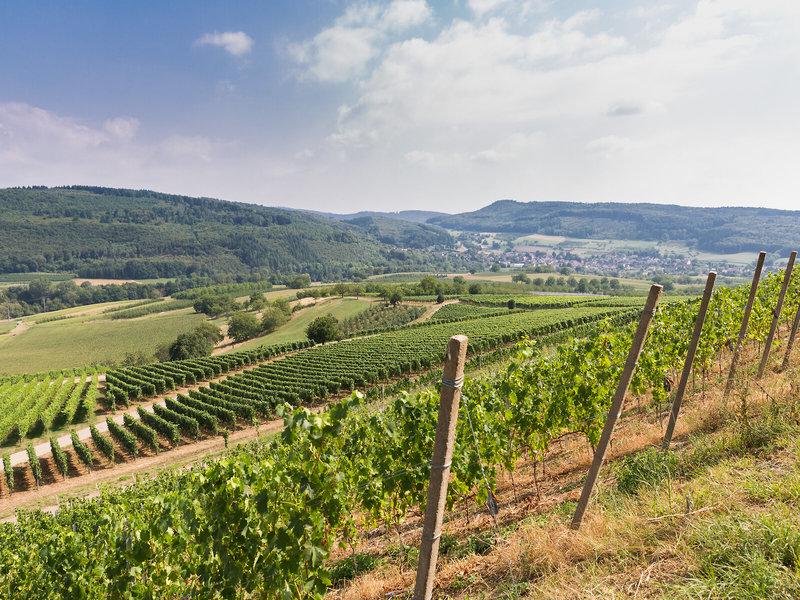 564EBC20E9A93CC8871BD3E281144989