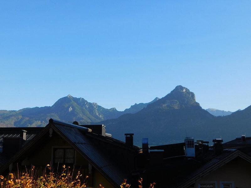 EEA317136834D5A24F2F3FC861A35A33